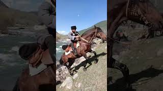 Охлаждение коней после изнурительного пробега #karach_horse #карачай #horse #горы #природа #лошадь