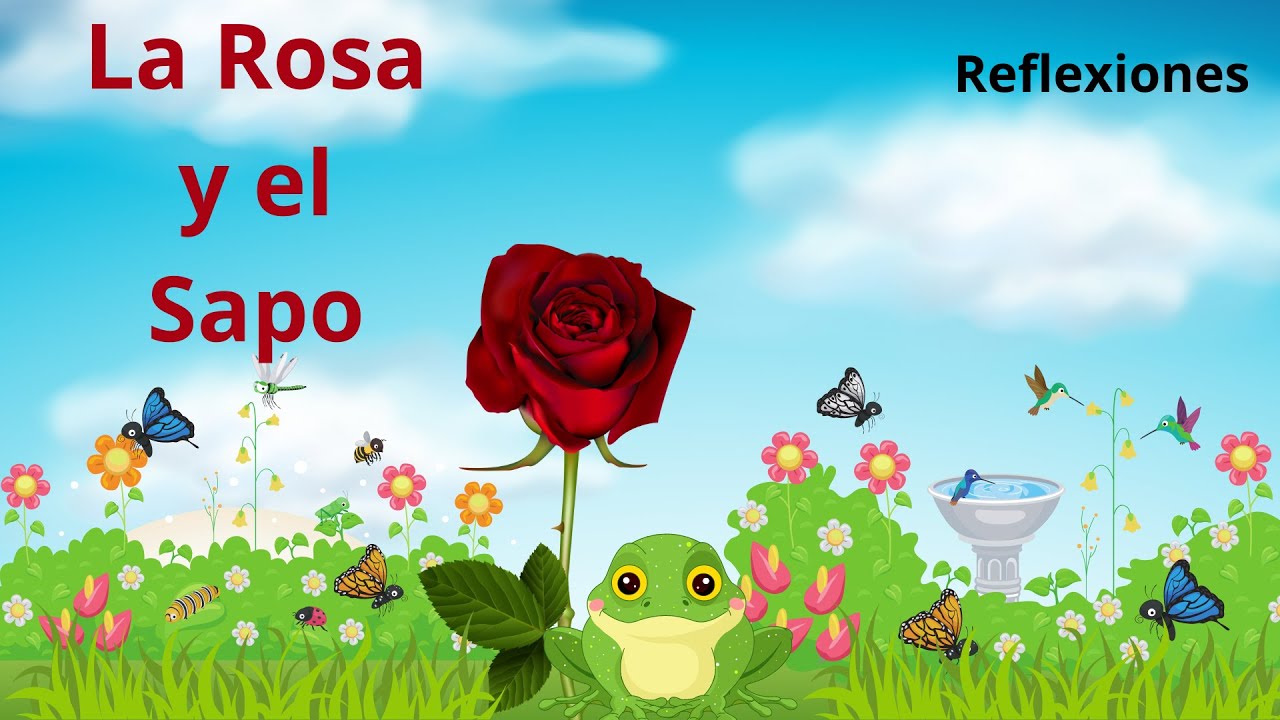 Cuentos infantiles - La Rosa y el Sapo - cuentos cortos - Reflexiones