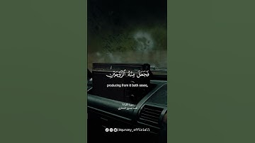 أَلَيْسَ ذَٰلِكَ بِقَـٰدِرٍ عَلَىٰٓ أَن يُحْـِۧىَ ٱلْمَوْتَىٰ | سورة القيامة | محمد صديق المنشاوي
