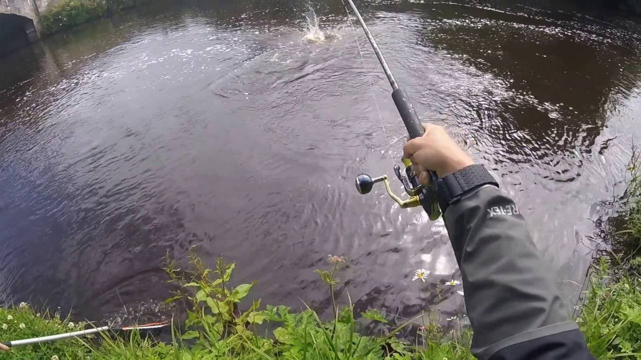 Salmon Fishing - YouTube
