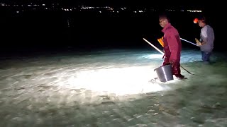 Nombak Ikan malam hari bertemu rombongan ikan yang paling mematikan 😱