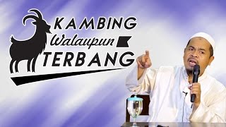 Video Singkat: Kambing Walaupun Terbang - Ustadz Abu Thohir Jones Vendra, Lc