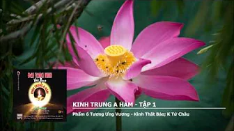 Tập 1 – Phẩm 6 Tương Ưng Vương – K.Thất Bảo – K Tứ Châu 