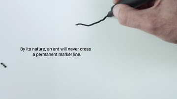 Stop drawing borders