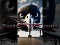 Flying Faster Than Sound: आवाज़ से भी तेज़ उड़ान! #facts #shorts #trending