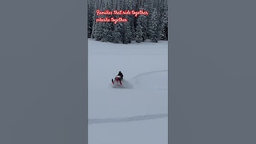 #family #sledders #skidoo #turbo #snowmobile #wheelie
