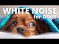 Dogs Need White Noise Too! Black Screen | 10 Hours