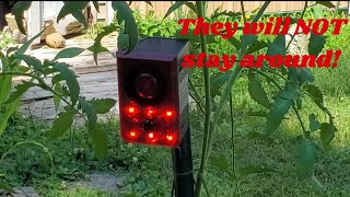 Solar Outdoor Motion Sensor Alarm-Dog Barking & Gunshot Sound, Loud Noise, 3 Modes Strobe Light With