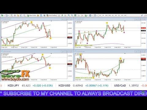 Live Forex Trading Signals Online EURUSD GBPUSD USDJPY USDCAD