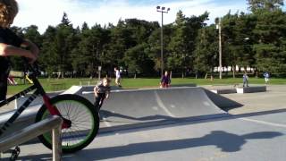 IMG 0216