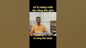 xử lý sượng cơm, sượng nước sầu riêng hiệu quả đơn giản #sauriengdaklak #suongcomsaurieng #si21