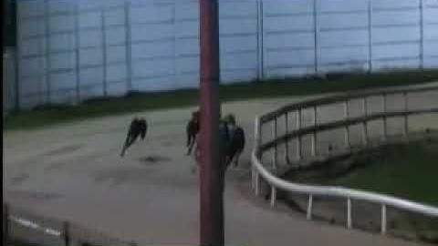 IGB - Roy the Boy Race  25/01/2020 Race 5 - Curraheen Park