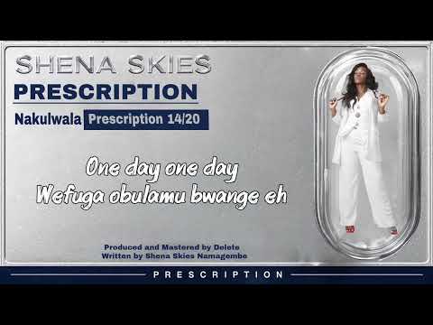 14. Shena Skies - NAKULWALA (Prescription Album)