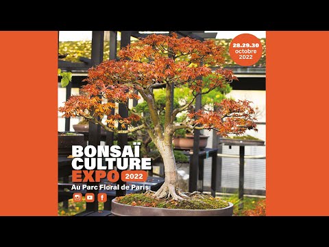 BONSAI CULTURE EXPO