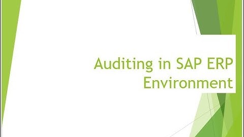 Auditing in SAP Environment