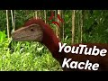 Die stinkende Welt der Dinos - YouTube Kacke