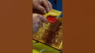 Uncapping honey 🍯 frame
