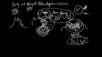 Early and Delayed After Depolarization EAD and DAD