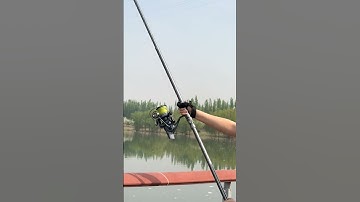 Cần lục siêu cứng 4m5 ngọn 4li câu bạo lực 20-30kg, 150m - telescopic rod #fishingrod #shorts
