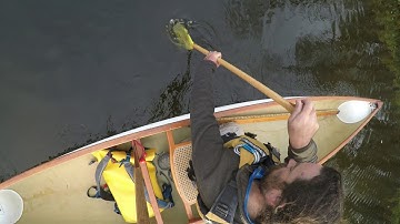Draw and Push (pry) Strokes - Canoeing