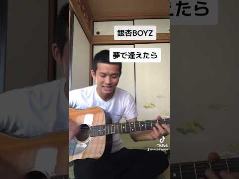 夢で逢えたら／銀杏BOYZ  弾き語りcover