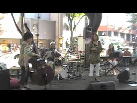 The Jazz vocalist, Junko Koyanagi performed at the Jozenji street in Sendai on July 18, 2010. They came as a representative jazz band of the Takatsuki jazz street festival in Osaka.