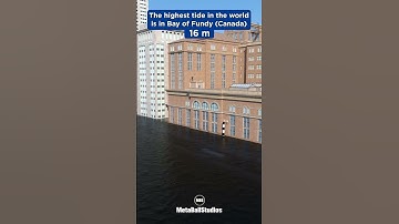 The Highest Tide in the World! 🤯🏞️🌊