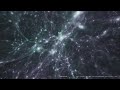 Uchuu universe simulation - 2021