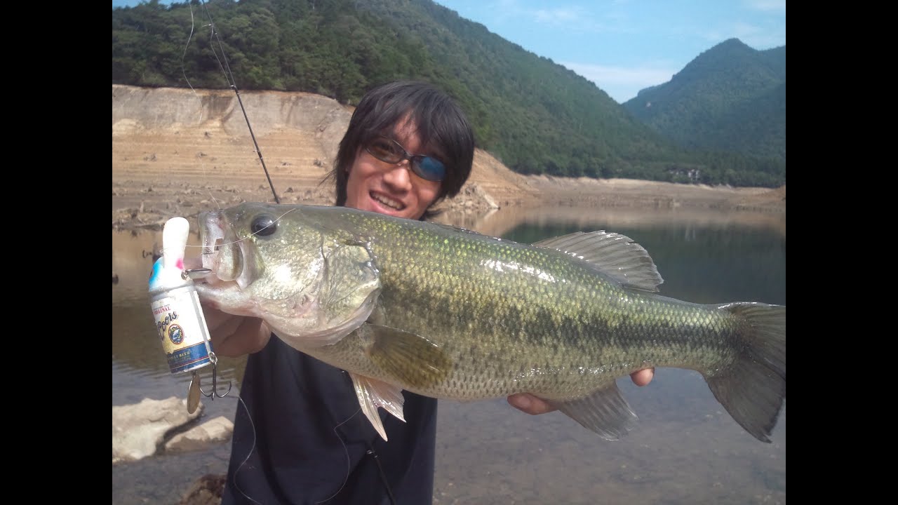 井嶋 あきら 井嶋 あきら