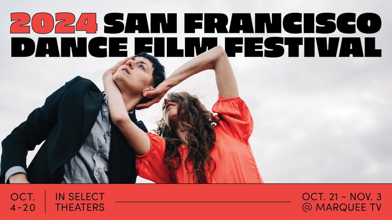 15th Anniversary SFDFF Festival Trailer