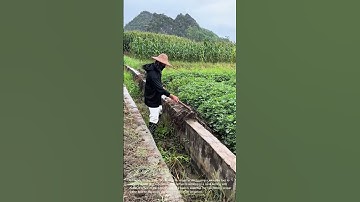 Clearing Irrigation Ditches: Maintaining Water Flow in the Fields