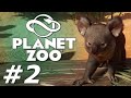 Planet Zoo: Australian Pack - The Kanga-Zoo! (Part 2)