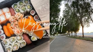 Trying Sushi For The First Time Healing Shopping Ambervlogs