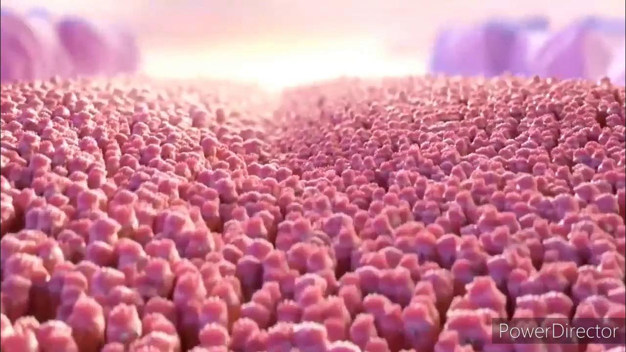 реклама чистая линия вкусовыми сосочками. вкусовые сосочки чистая. мороженое чистая линия вкусовые сосочки. вкусовые сосочки реклама чистая линия. мороженое чистая линия вкусовые сосочки.