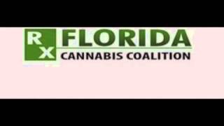 florida cannabis coalition