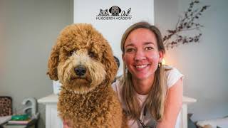 Huisdieren Academy - Hondencursus Te Gek Hondenleven