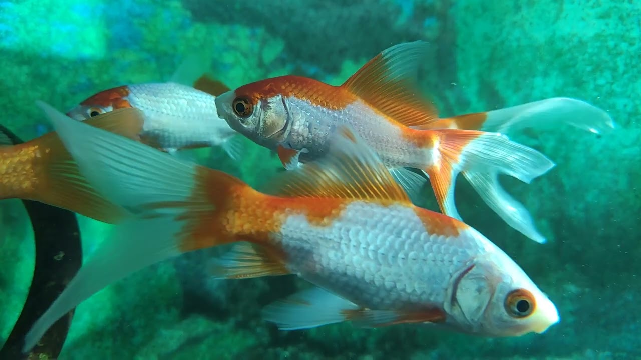 Iw43wmkbvhxcwm Iw43wmkbvhxcwm