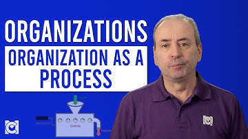 Organizations as Processes: Understanding an Organization as a Set of Processes