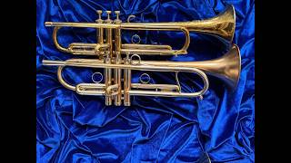 Martin Committee Vs. Adams A4LT (+ Bonus Horn!)