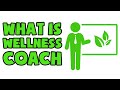 What is wellness coach  explained in 2 min
