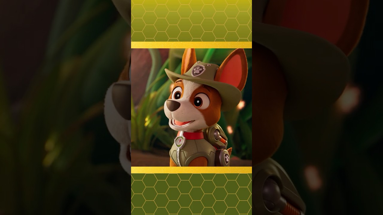 PAW Patrol rescue Tracker & animals! 