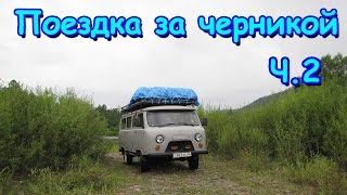Семья Бровченко. Поездка за черникой в Малое Гол. (2 часть) Ночь на берегу реки. (08.16г.) Семья Бровченко. Поездка за черникой в Малое Гол. (2 часть) Ночь на берегу реки. (08.16г.)