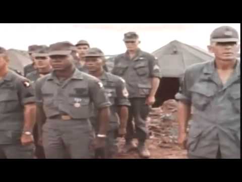 Dear america letters home from vietnam essay