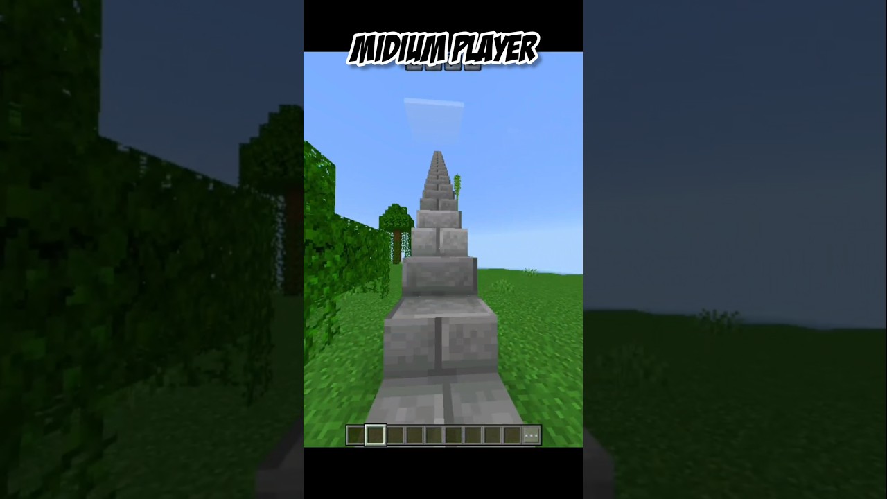 3 DIFFERENT TYPES OF LADDERS 