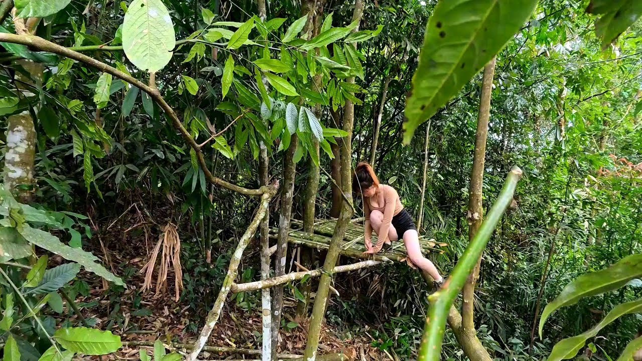 Survival Girl Builds a High Shelter to Outsmart Rain and Wild Danger ...