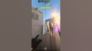 Ladder Molly From Under Mirage #shorts #cs2