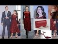 Queen Letizia of Spain Stunning in Burgundy Embroidered Organza Dress for Reception in Morocco