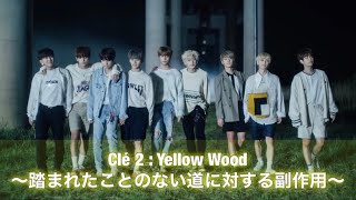 【StrayKids】Clé 2 : Yellow Wood   〜踏まれたことのない道に対する副作用〜【MV考察】