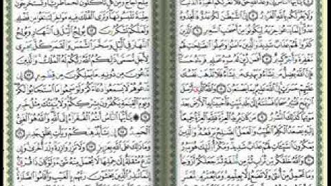 سورة فاطر -الشيخ احمد اسامه الترجمان.flv