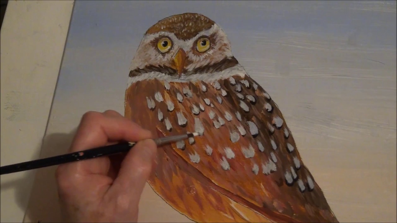 How To Paint An Owl You Won t Believe This Trick To Painting Owl How To Paint An Owl You Won t Believe This Trick To Painting Owl